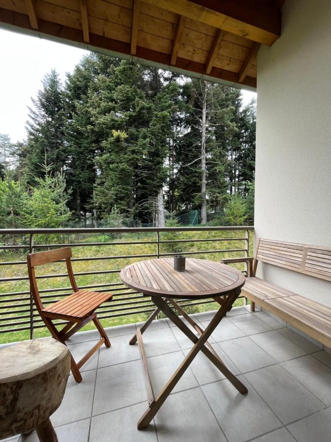 "Les Oiseaux" Avec Terrasse, Parking, Duplex Apartment Le Chambon-sur-Lignon Exterior photo