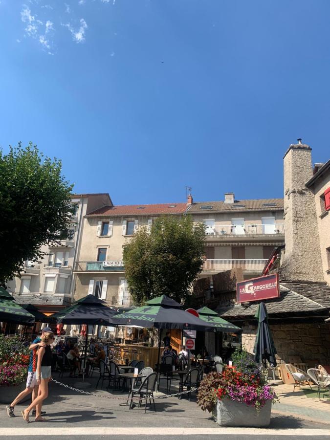 "Les Oiseaux" Avec Terrasse, Parking, Duplex Apartment Le Chambon-sur-Lignon Exterior photo