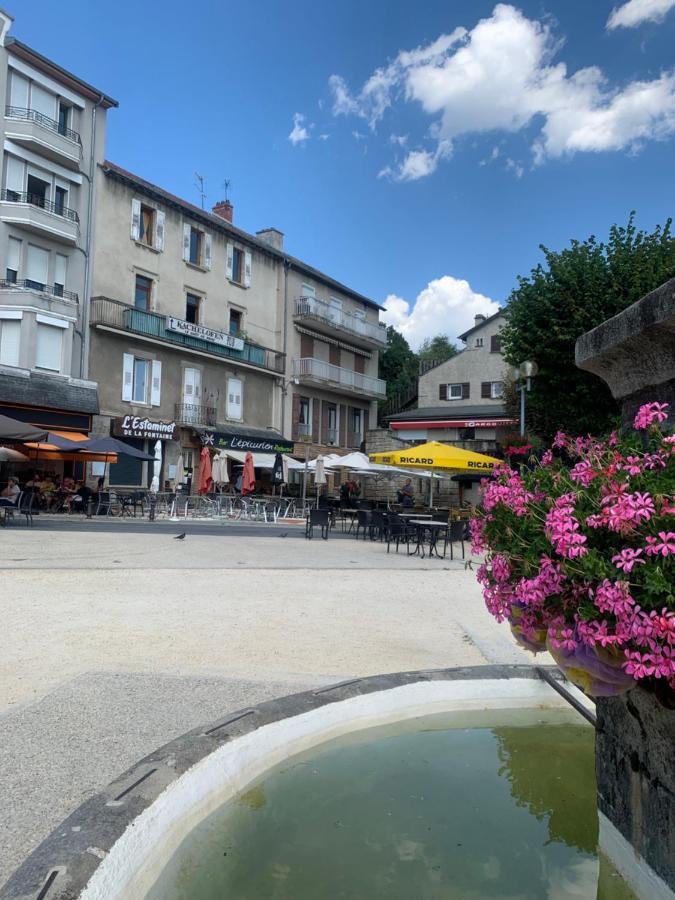 "Les Oiseaux" Avec Terrasse, Parking, Duplex Apartment Le Chambon-sur-Lignon Exterior photo